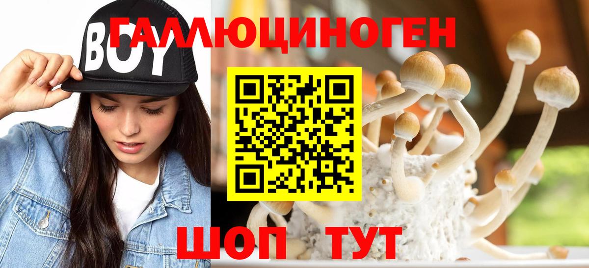 Галлюциногенные грибы Magic Shrooms Сокол