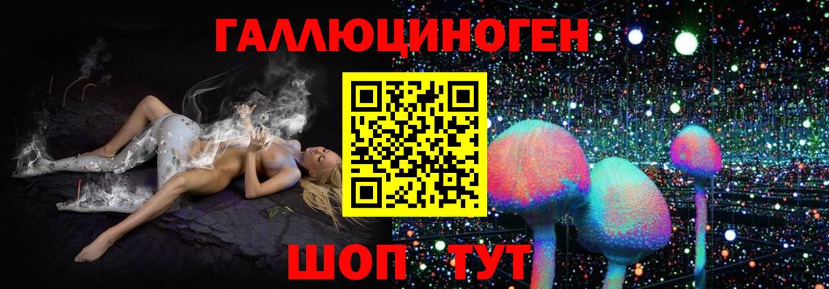 Псилоцибиновые грибы Psilocybe  Вход с VPN  Сокол 